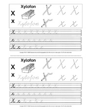 SAS-Übungen-X.pdf